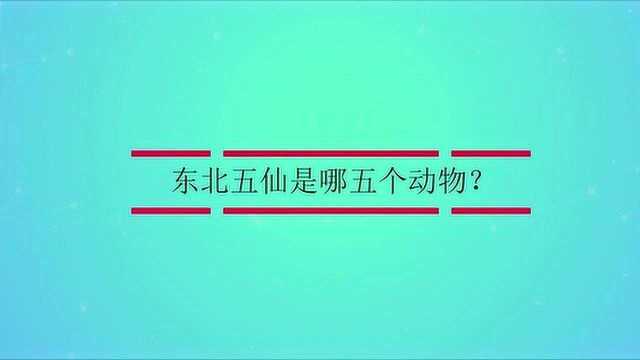 东北五仙是哪五个动物?