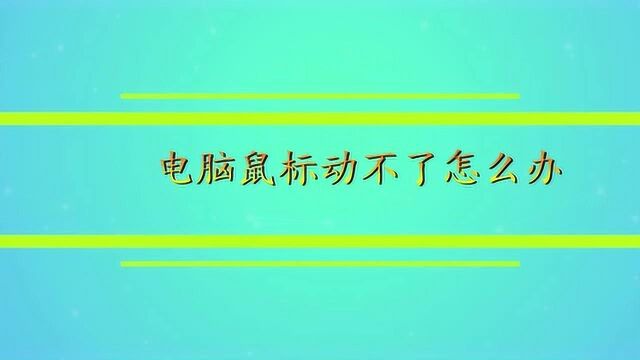 电脑鼠标动不了怎么办