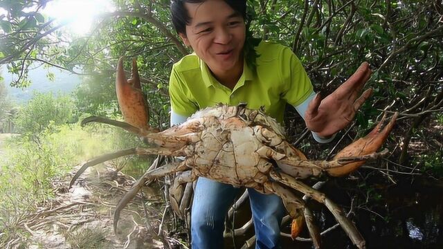 顶着大风去赶海,发现红树林里躲了很多大螃蟹,小诗哥抓到偷笑