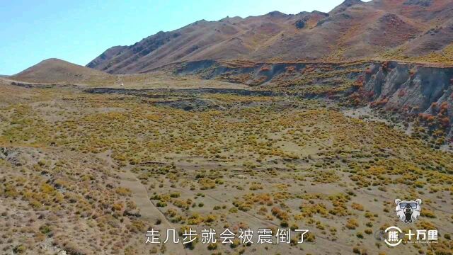 新疆自驾游必去地点之一,长达170公里的地震断裂带,太震撼了