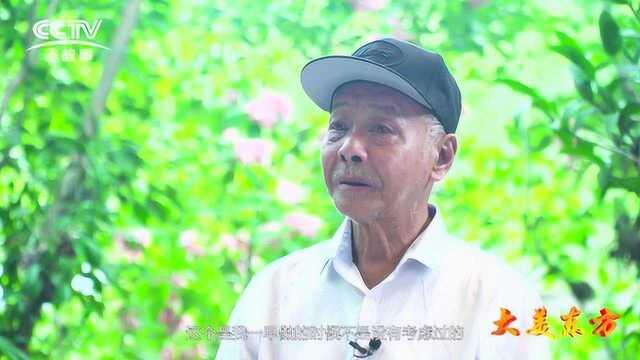 归侨“愚公”郑文泰的绿色梦想