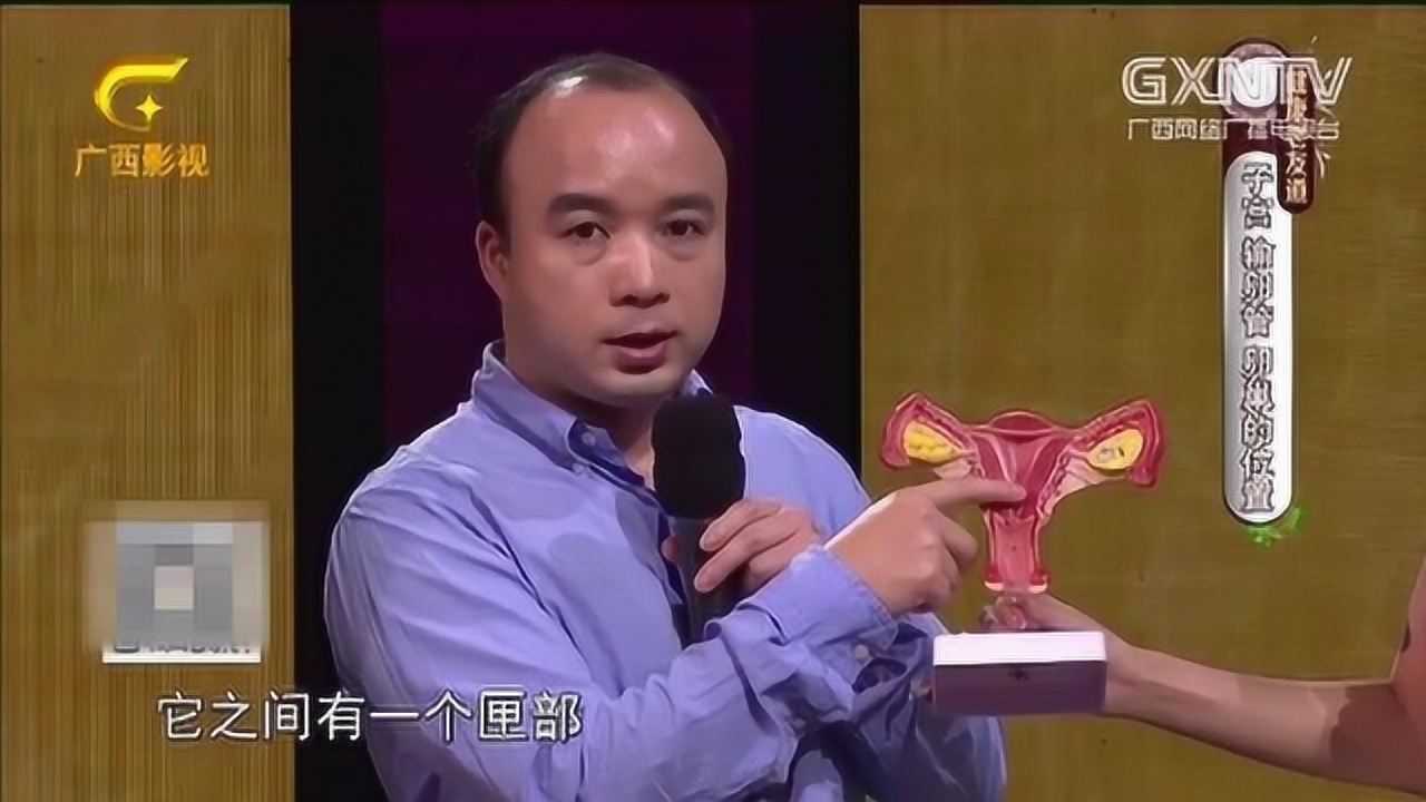 女性生殖器官究竟长啥样，都有哪些部位组成，别不好意思看！_腾讯视频