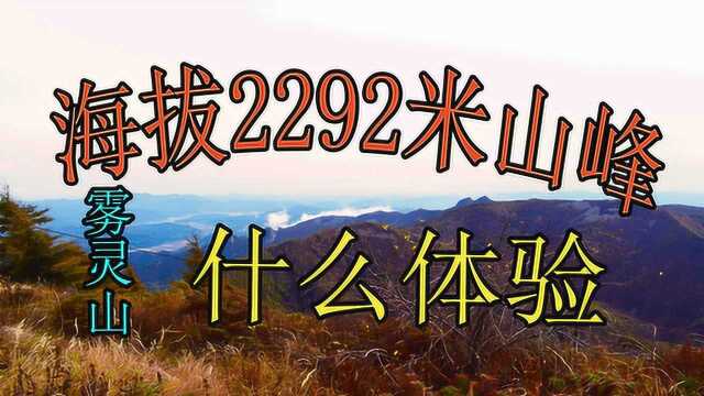 海拔2292米山峰景色怎么样?