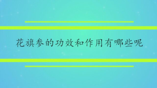 花旗参的功效和作用有哪些呢