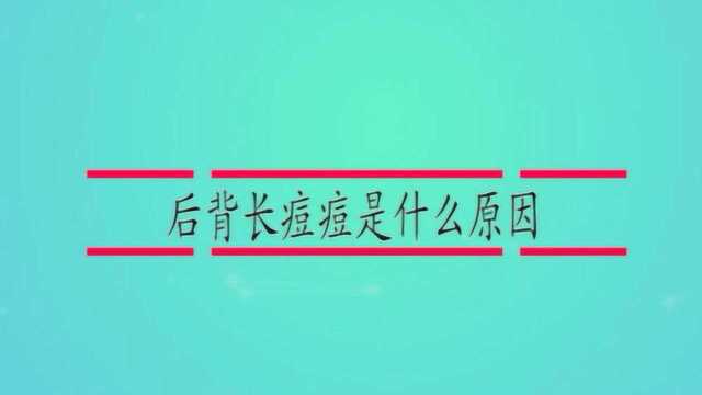 后背长痘痘是什么原因