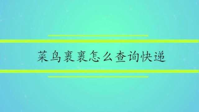 菜鸟裹裹怎么查询快递