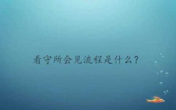 看守所会见流程是什么?