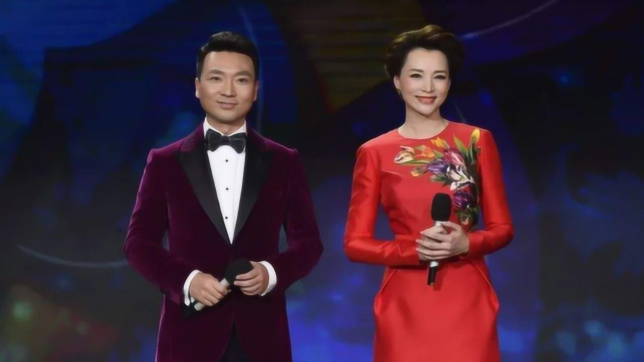 节目被谢娜取代网曝董卿承认退出央视撒贝宁公开其新身份