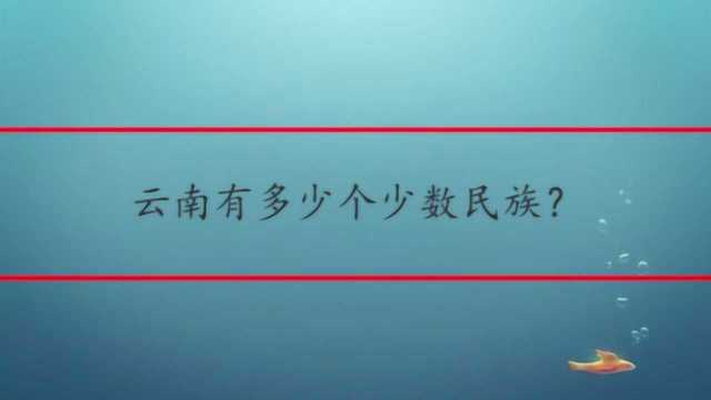 云南有多少个少数民族?