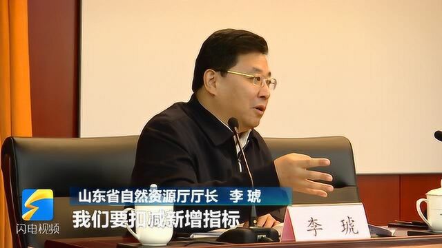 山东省自然资源厅厅长李琥:提高土地利用 撬动存量土地保障重点工程