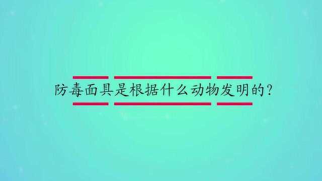 防毒面具是根据什么动物发明的?