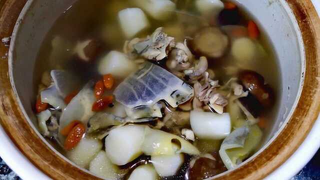 甲鱼最营养进补的做法,食疗养生首选食材,这种做法鲜美无比