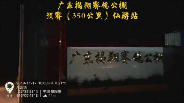 广东揭翔赛鸽公棚预赛(仙游站)350公里集锦