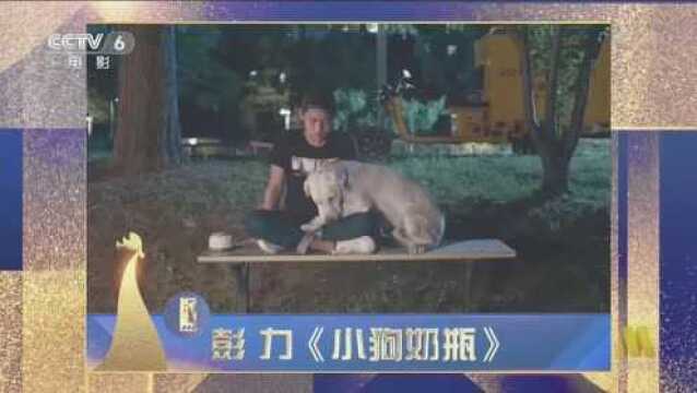 实至名归!文牧野凭借《我不是药神》获得最佳导演处女作