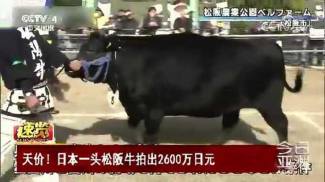 天价!日本一头松阪牛拍出2600万日元