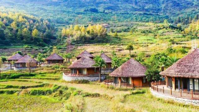 贵州保基枫林民宿,你愿意花多少钱在这里住一晚上?