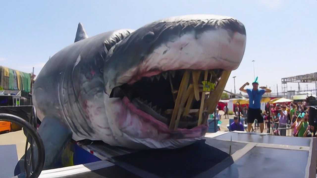 街头惊现巨大鲨鱼,体长10米重达2000斤,得知真相让人感动
