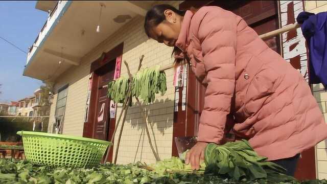 农村妈妈教你秘制干腌菜,家乡的特色,制作简单好吃