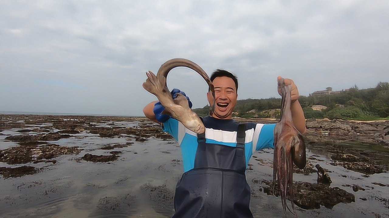 退潮后的乱石滩好货成群玉平鲨鱼八爪抓到手软桶都快放不下了