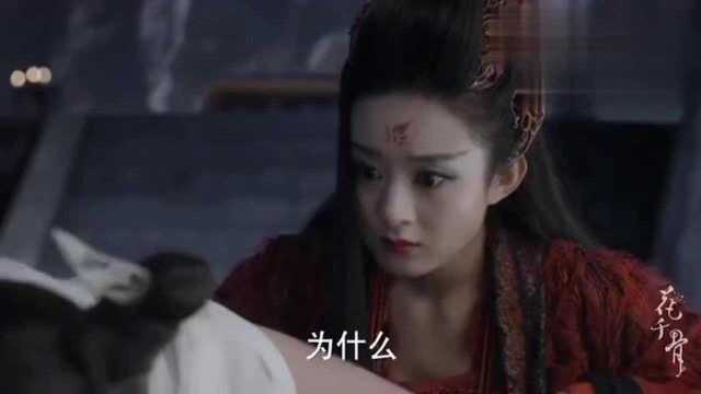 花千骨:儒尊难得正经,当场评论师兄,一个骄傲一个固执