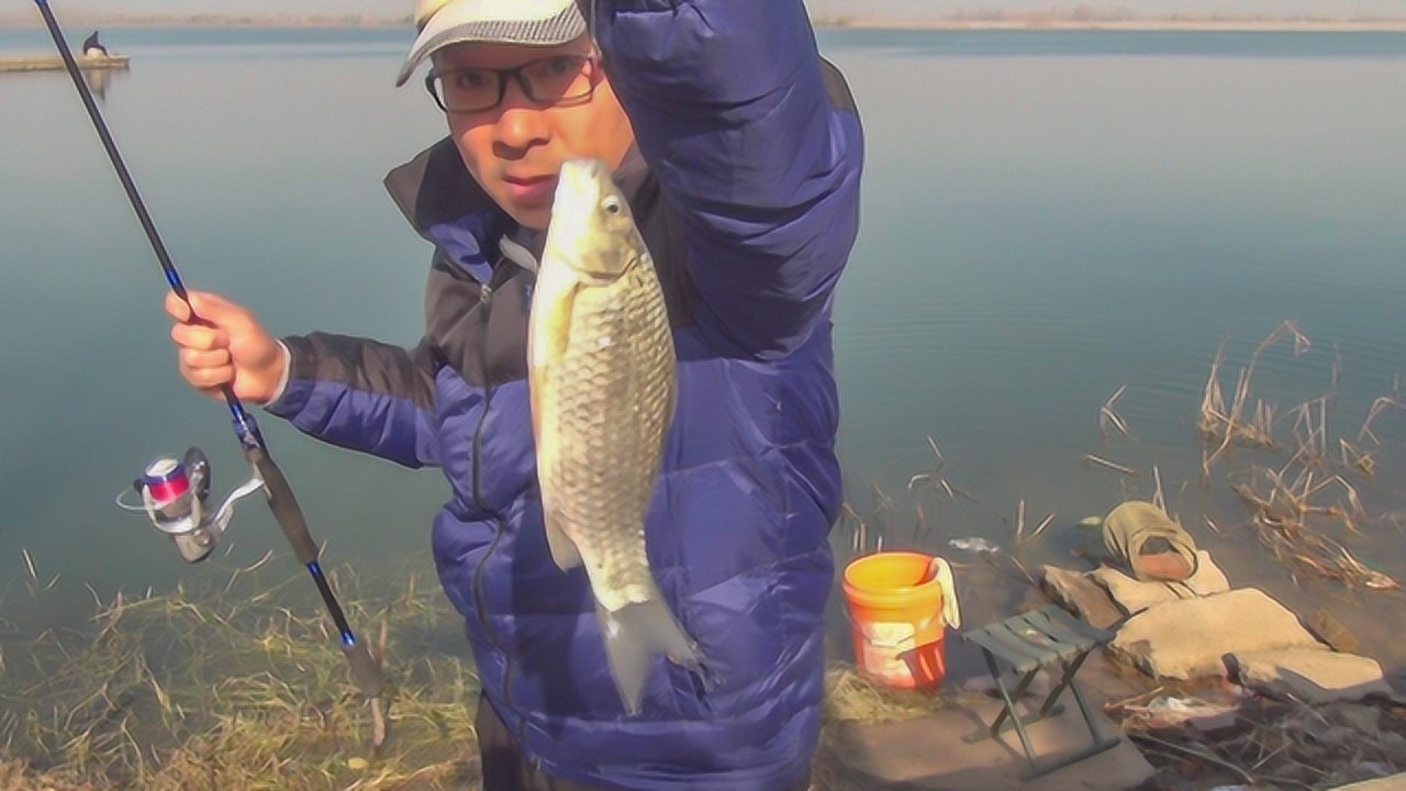 冬天钓鲫鱼, 这种路亚活饵底钓法很神奇,还不会的抓紧看过来!