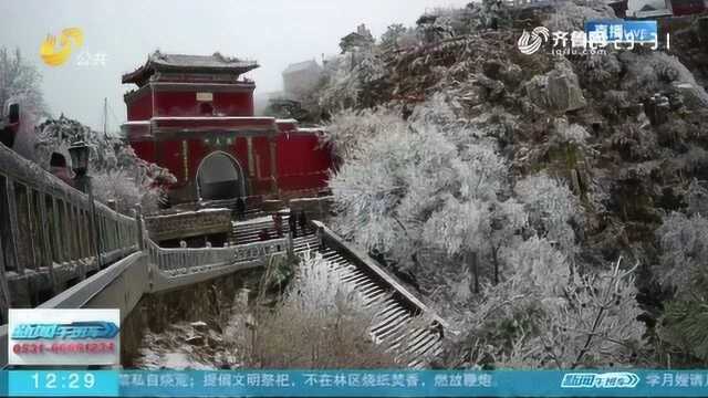 一览美景!最美不过岱山雪 整个泰山美成了一幅水墨画卷