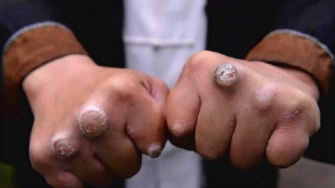 腾讯视频-中国领先的在线视频媒体平台,海量高清视频在线观看