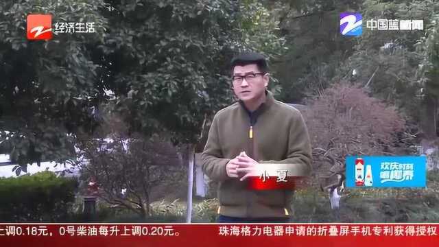 “以租代售”买来的网约车 租赁公司却说 当初业务员没给车主讲清楚