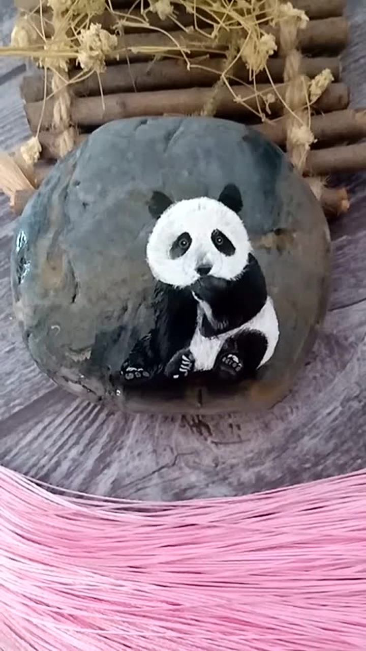 熊猫背石头图片100张(熊猫背石头图片100张大全) 第2张