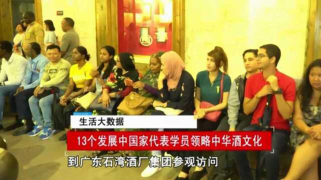 生活大数据:13个发展中国家代表,到石湾酒厂,领略中华酒文化