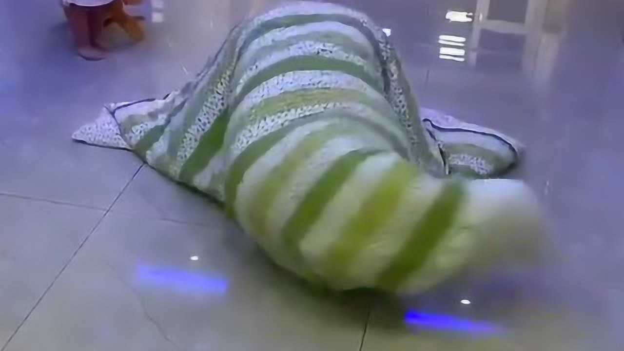 爸爸为了哄孩子还真是煞费苦心呀居然用被子装扮成了一条毛毛虫
