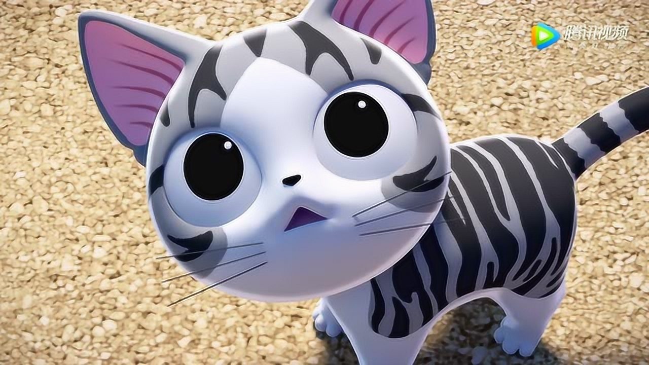 甜甜私房猫小奇你怎么了