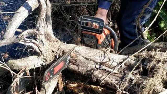 乡野山上砍柴的少年郎《茶山情歌》片段