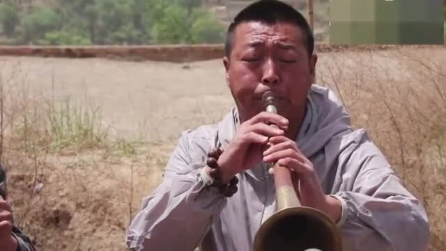 音声饱满大唢呐!太好听了!这才叫艺术