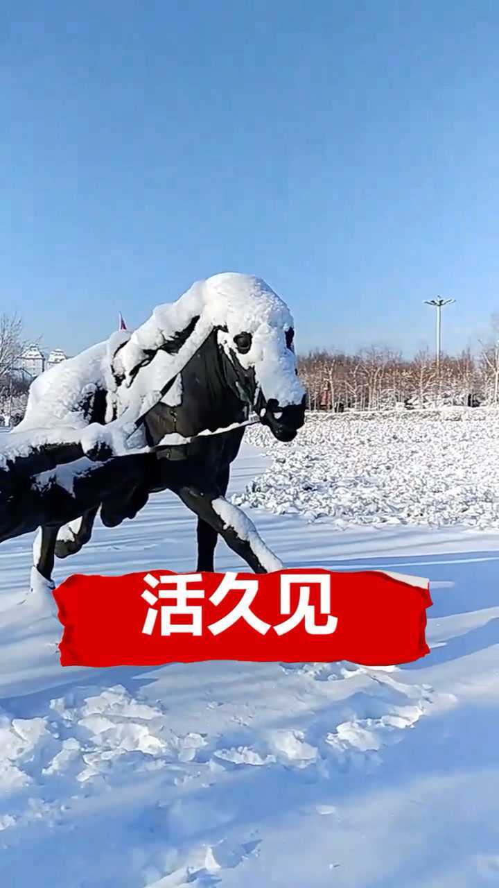 天氣太冷將士們都凍僵了,上天賞賜了一身白大衣,是不是很帥呢