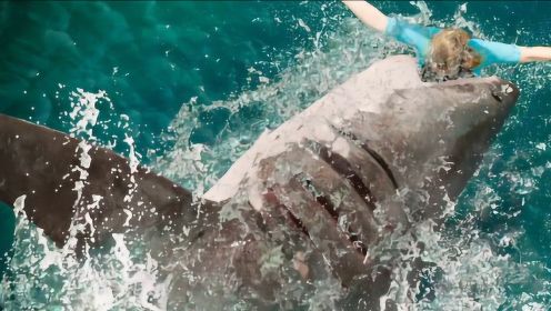 好莱坞大片《鲨海逃生》4名少女深海探险，结果遭到一群盲鲨袭击