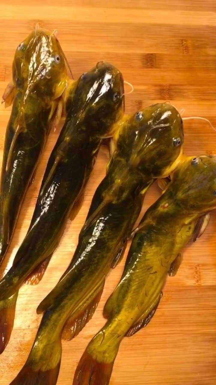 祖传的酱焖嘎牙鱼全家都喜欢