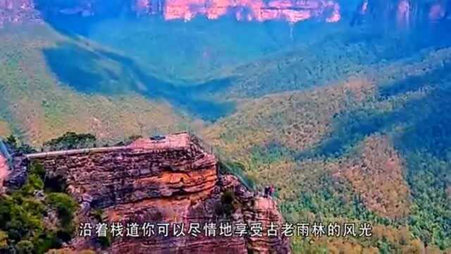 悉尼蓝山国家公园!蓝色魅惑!爱情童话!感受世界上最美的地方!