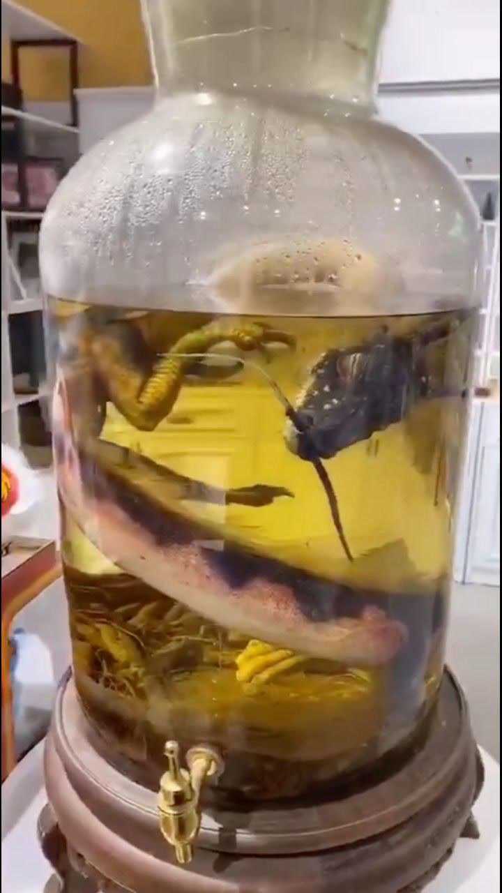 世界上最后一条真龙下场竟然这么悲惨多少人为之心碎