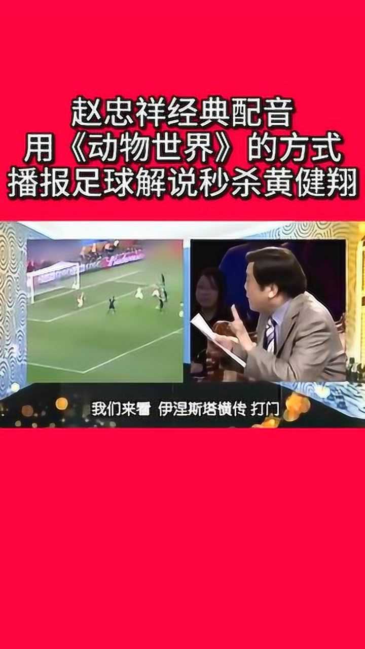 赵忠祥经典配音用动物世界的方式播报足球解说秒杀黄健翔