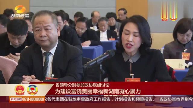 省领导分别参加政协联组讨论 为建设富饶美丽幸福新湖南凝心聚力