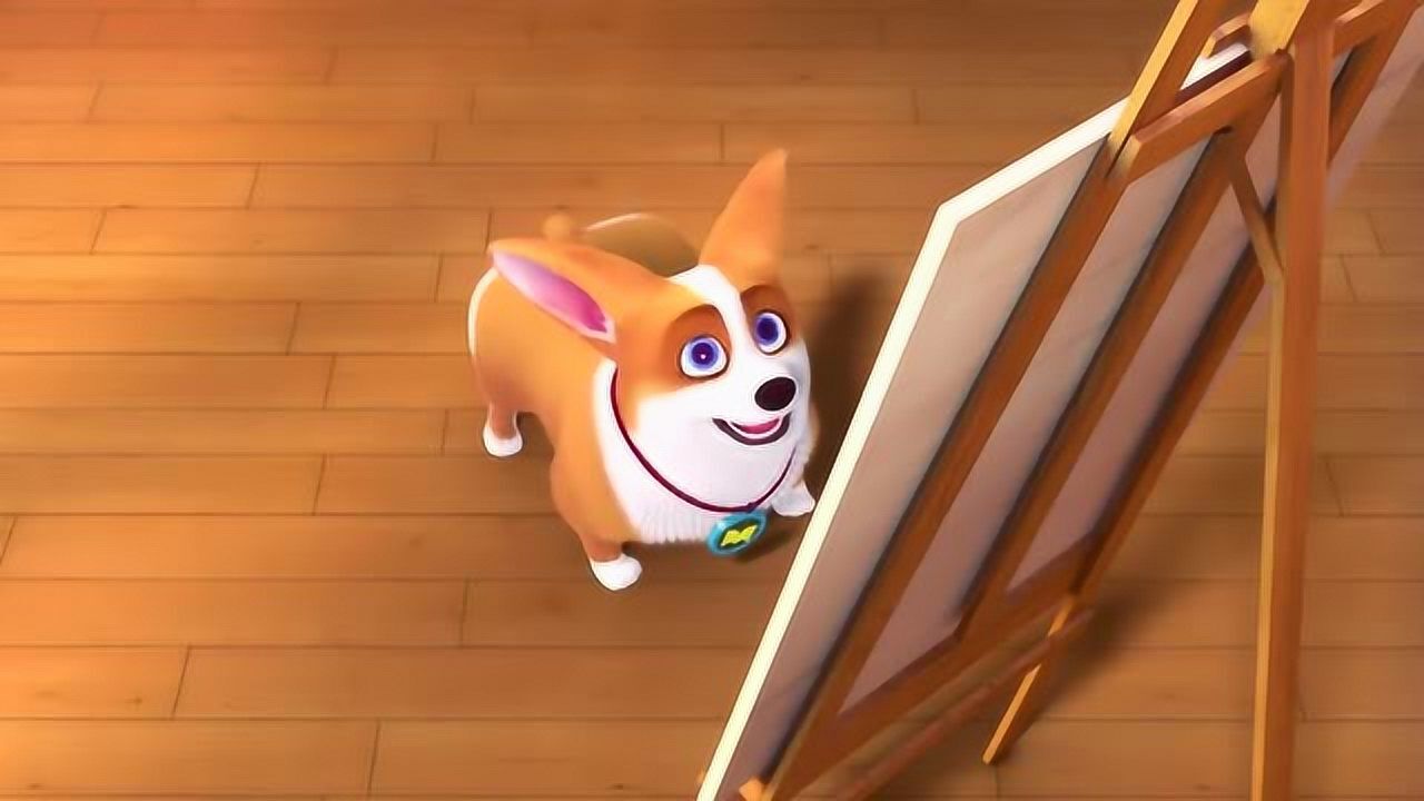 飞狗moco:我仰慕我的主人,但我在主人眼里却如此外貌不堪