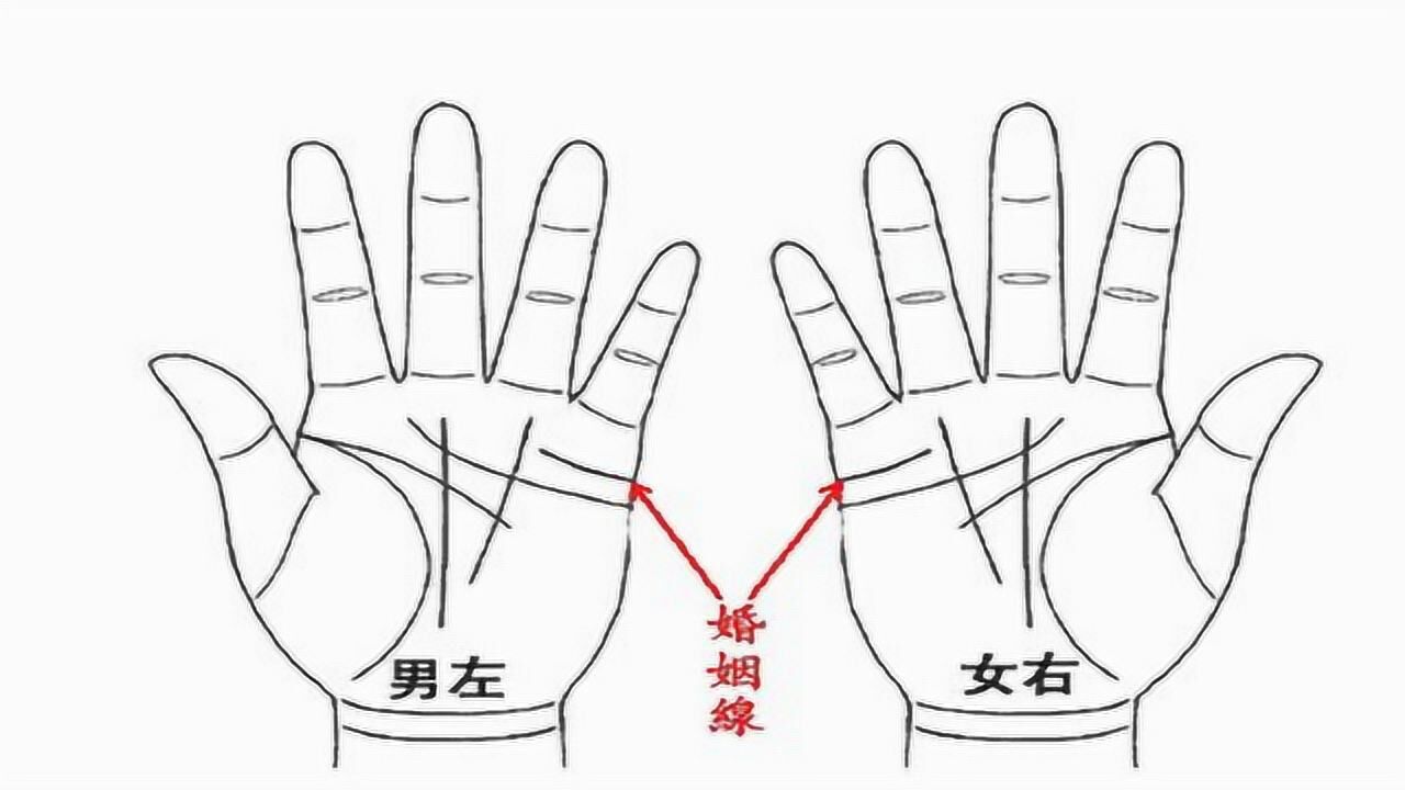 你们认为看手相一定要男左女右吗掌握手相知识很重要