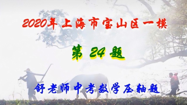 2020年上海市宝山区一模第24题