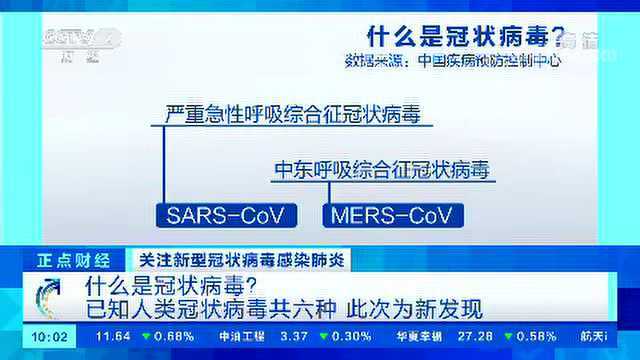 什么是冠状病毒?已知人类冠状病毒共六种 此次为新发现