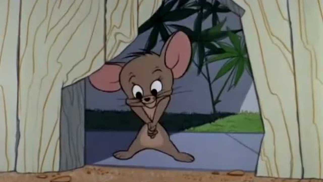 杰瑞饿的肚子打鼓,吃饱了竟发现自己在空中,吓得直喘气