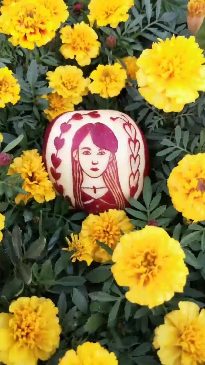 红苹果造型艺术