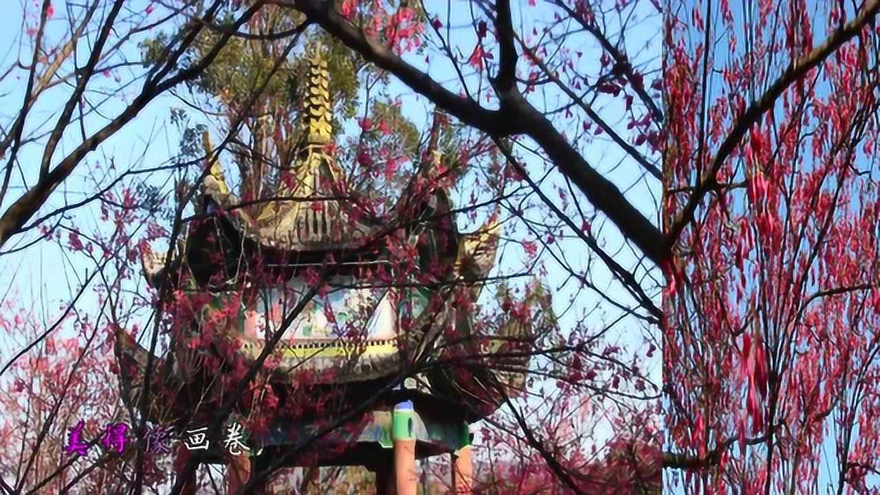 金乡狮子山公园