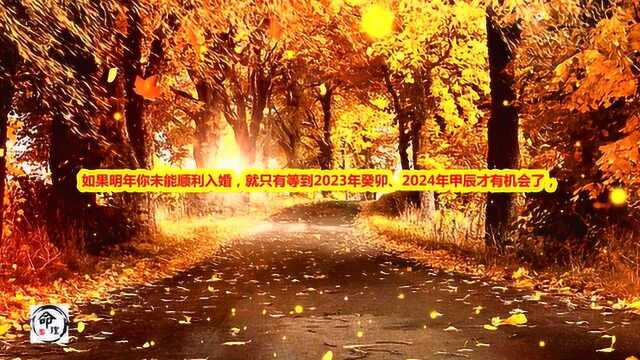 八字男命姻缘 实战预测分析