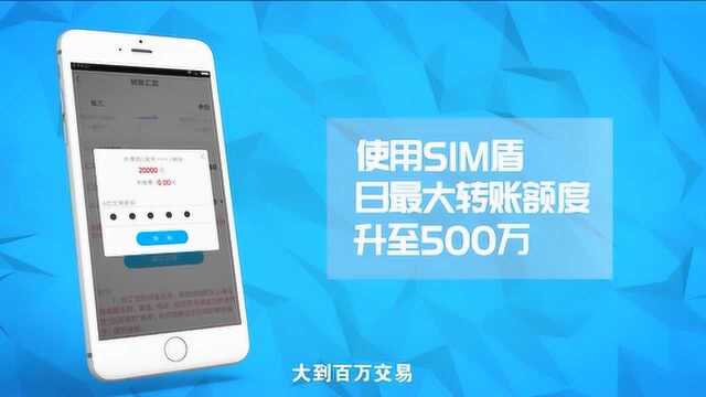 SIM盾,安全支付专家